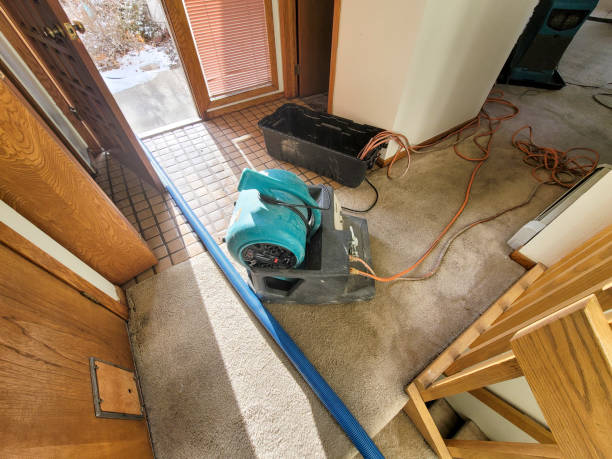 Best 24-hour water damage restoration  in USA