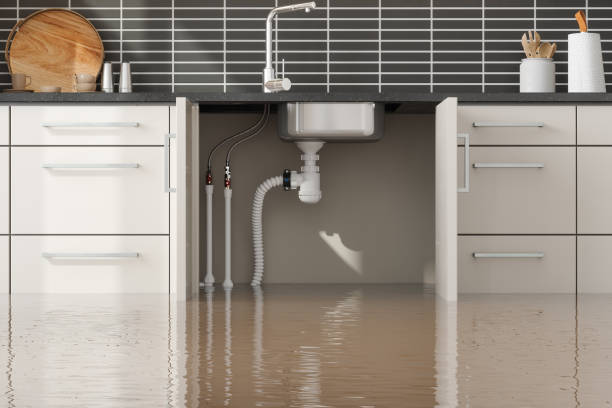 Best 24-hour water damage restoration  in USA