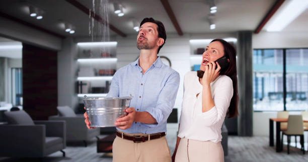 Best Basement water damage restoration  in USA